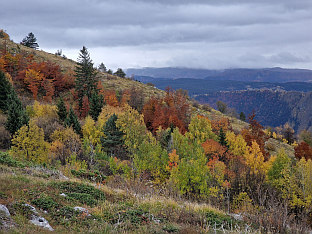 Република Српска - Источно Сарајево - фото-вијест