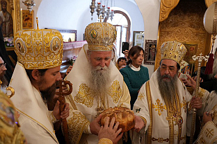 Црна Гора - СПЦ