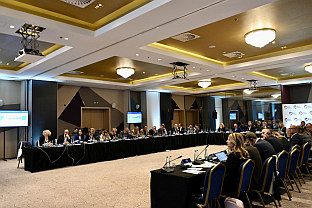 БиХ - регион - гранична полиција