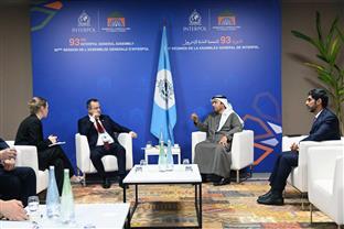 Србија - Интерпол