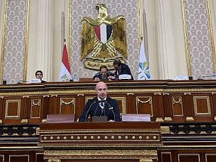 БиХ - парламентаризам