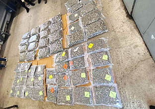 Србија - МУП