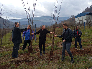 Република Српска - Фоча - пољопривреда