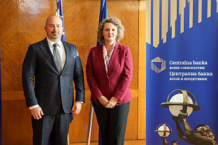 БиХ - САД - Селимовић, Гинкел