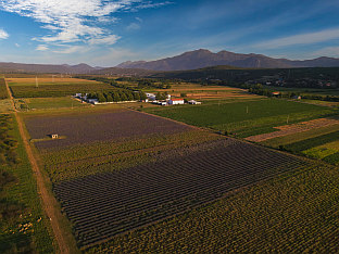 Република Српска - Љубиње - љековито биље