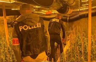 Србија - МУП