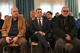 Србија - дијаспора - скуп