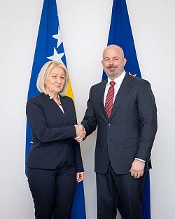 БиХ - САД - Кришто, Гинкел