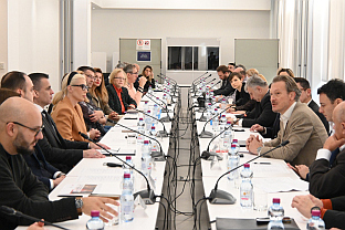 Србија - дијаспора