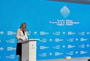 БиХ - УАЕ - Свјетски самит влада