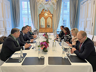 БиХ - Словенија - Конаковић, Фајон