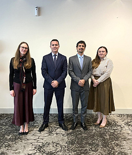 БиХ - Тужилаштво