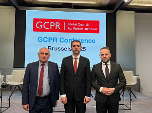 БиХ - Глобални савјет за политичку обнову