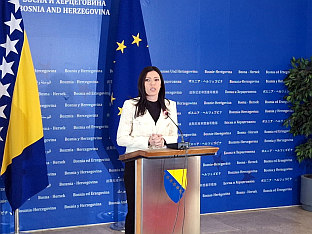 БиХ - Парламентарна скупштина - Вулић