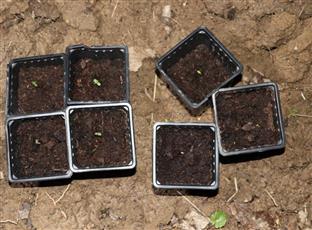 Република Српска - Градишка - Полицијска управа