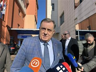 БиХ - политичке странке