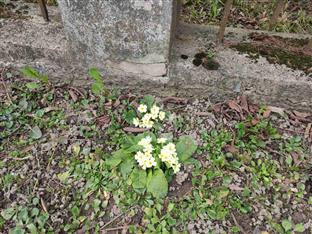 Република Српска - Бањалука - фото-вијест