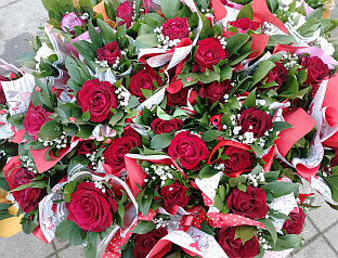 Република Српска - Нови Град - фото-вијест