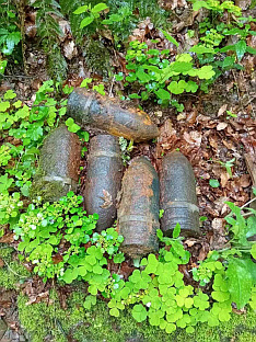 Република Српска - Нови Град - Цивилна заштита