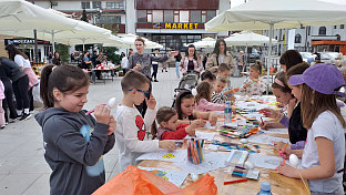 Република Српска - Власеница - манифестација