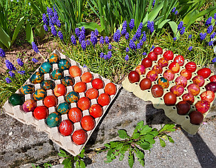 Република Српска - Пале - Коло српских сестара