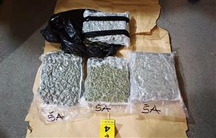 Срибја - МУП