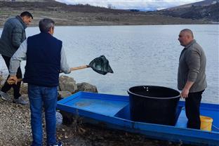 Република Српска - Билећа - порибљавање