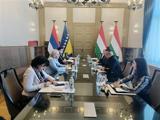 БиХ - Мађарска