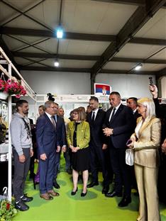 Србија - Нови Сад - манифестације