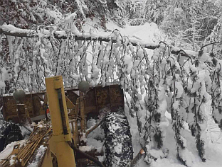 Република Српска - Фоча - општина