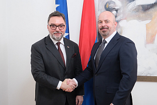 БиХ - САД - енергетика