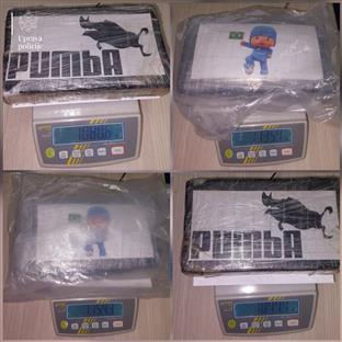 Црна Гора - Управа полиције