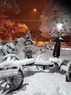 Србија - Београд - фото-вијест