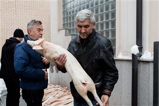 Република Српска - РСС - солидарност