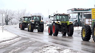 Република Српска - Прњавор - мљекарство