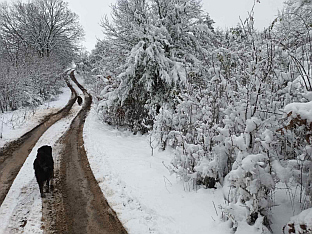 Република Српска - Зворник - путеви
