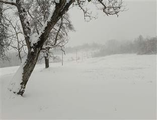 Република Српска - Нови Град - снијег