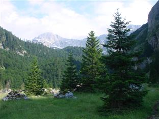 Република Српска - јавна предузећа