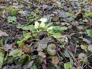 Република Српска - Бањалука - фото-вијест