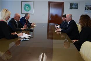 Република Српска - САД - Ђокић, Гинкел