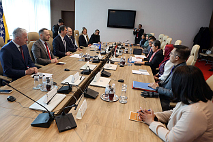 БиХ - Индонезија - Група пријатељства за Азију