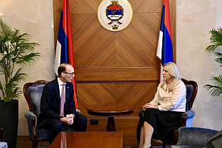 БиХ - Аустрија - Цвијановић, Дивалд