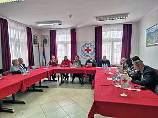 Република Српска - породице погинулих и несталих - округли сто