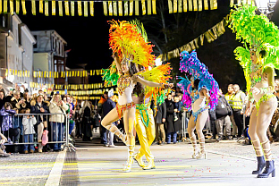 Црна Гора - Херцег Нови - "Празник мимозе"