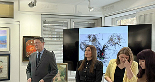 Србија - Косово и Метохија - култура