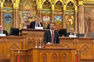 БиХ - Мађарска - Чавара