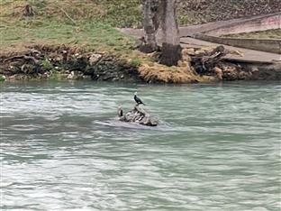 Република Српска - Бањалука - фото-вијест