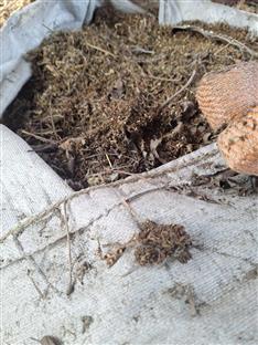 Република Српска - МУП