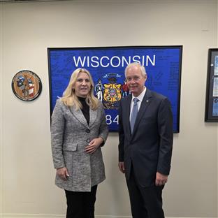 БиХ - САД - Цвијановић, Џонсон