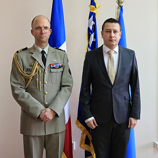 БиХ - Француска - одбрана